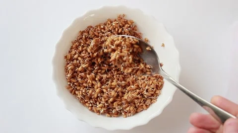 Vegetarian breakfasts. Vídeo Stock 49650607