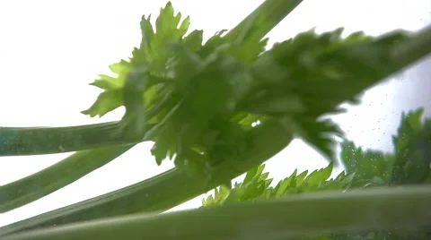 Vegetarian cuisine Stock Footage 64123019