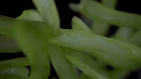 Vegetarian cuisine Stock Footage 64123044