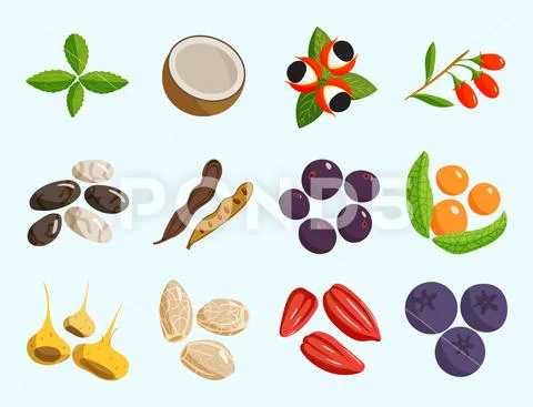 Vegetarian food healthy vegetable and fruits restaurant dishes cartoon berry Stock Illustration