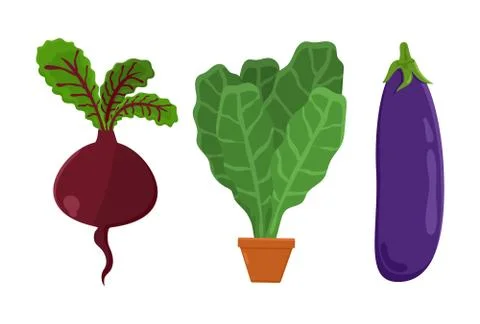 Vegetarian Food Set Beetroot, Vector Illustration Stock Illustration
