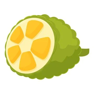 Vegetarian jackfruit icon cartoon vector. Summer food Stock Illustration