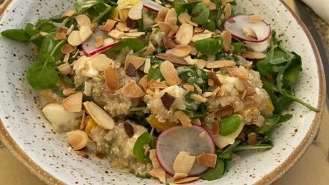 Vegetarian Lunch Video stock 238770253