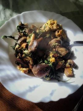 Vegetarian Plate 写真素材