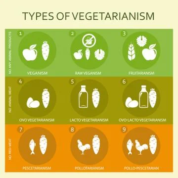 Vegetarian types infographic Ilustración de archivo