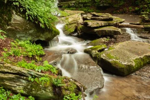 Vegetation along cascading stream Stock Photos