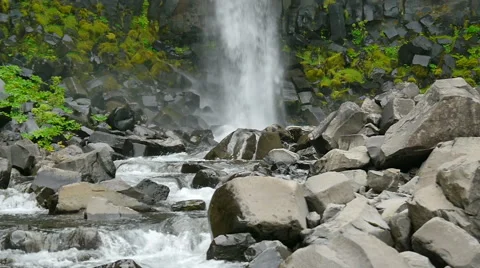 Vegetation and basalt rocks together with falling waters of the Svartifoss Stock Footage 59789931