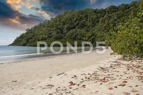 Vegetation and Ocean in Cape Tribulation Stock Photos