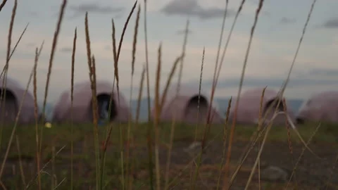 Vegetation on the background of glamping. Stock Footage 220787406