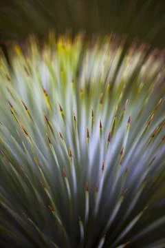 Vegetation background Stock Photos