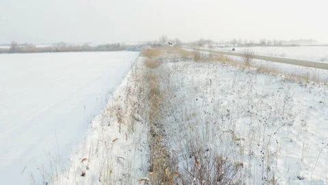 Vegetation between the road and the field under the snow Stockbeeldmateriaal 168444116