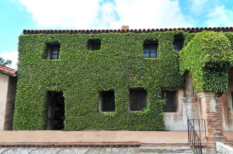 Vegetation covered building Fotos de archivo