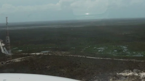Vegetation Damage from Airplane (co) Stock Footage 116687434