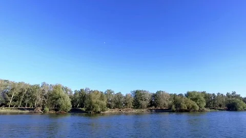 Vegetation on Danube Delta channels Stock Footage 80670393