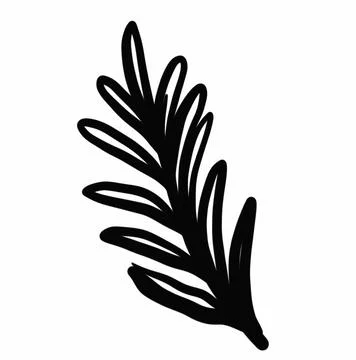 Vegetation elements,flowers,doodles,linear black outline drawing,dried flower,fo Stock Illustration