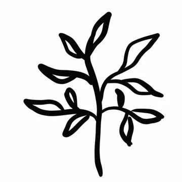 Vegetation elements,flowers,doodles,linear black outline drawing,dried flower,fo Stock Illustration