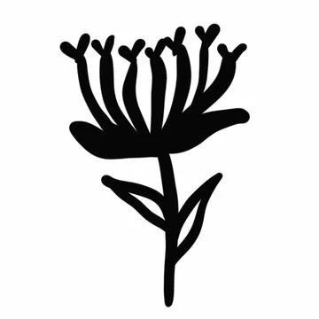 Vegetation elements,flowers,doodles,linear black outline drawing,dried flower,fo Stock Illustration