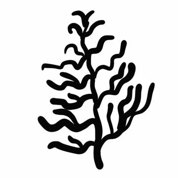 Vegetation elements,flowers,doodles,linear black outline drawing,dried flower,fo Stock Illustration