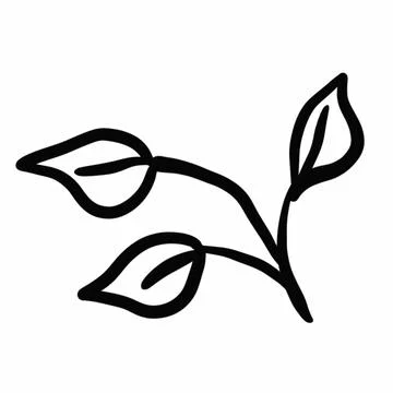 Vegetation elements,flowers,doodles,linear black outline drawing,dried flower,fo Stock Illustration