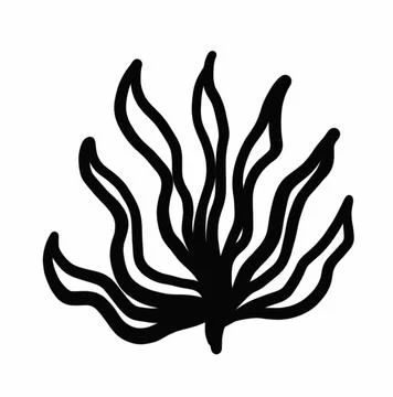 Vegetation elements,flowers,doodles,linear black outline drawing,dried flower,fo Stock Illustration