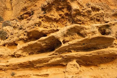 Vegetation on Eroded Sandstone Cliffs Foto stock