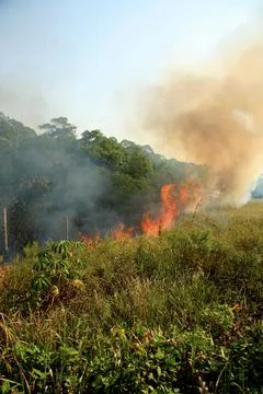Vegetation fire in bahia Stock Photos