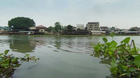 Vegetation is floating on the river. thailand Video stock 25127319