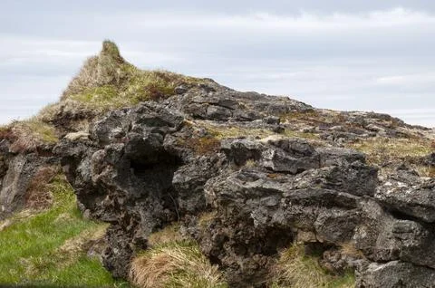 Vegetation growing on basalt rocks Stock Photos