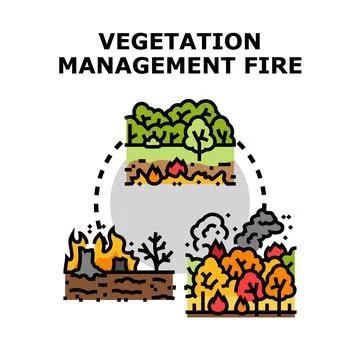 Vegetation management fire process vector illustration Stock Illustration