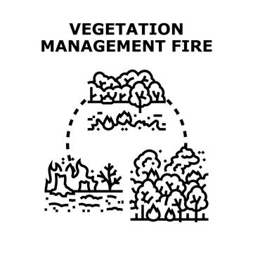 Vegetation management fire process vector illustration Stock Illustration