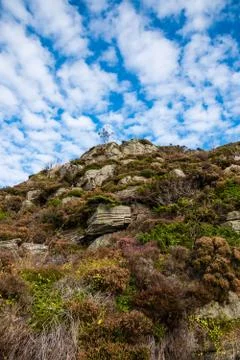Vegetation on mountain wall summer fall Stock Photos