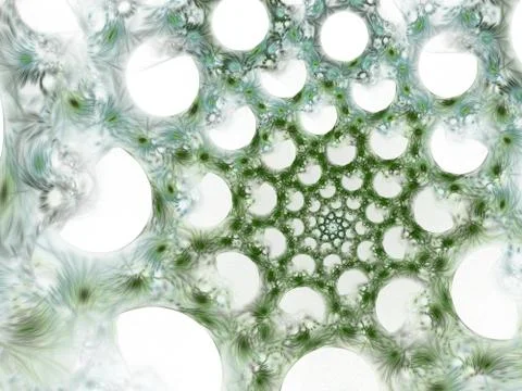 Vegetation network. Floral web. Botanical pattern Stockillustratie