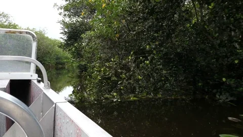 Vegetation seen from an airboat navigating. Stock Footage 79503256