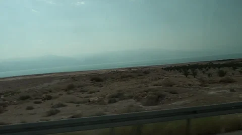 Vegetation at shore of the Dead sea Stockbeeldmateriaal 39715662