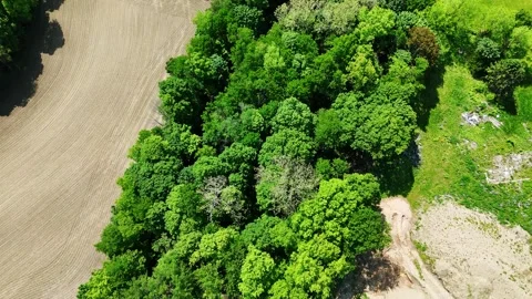 In Vegetation - Skaneateles, NY Video stock 336320623