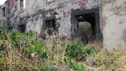 Vegetation is slowly taking over this abandoned building Stock Footage 293159194