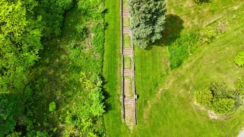 Vegetation - Syracuse, NY Video stock 336230852