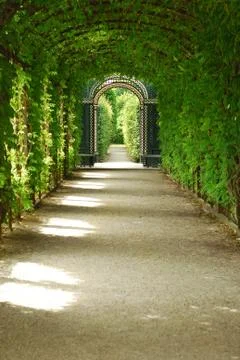 Vegetation tunnel Stock Photos