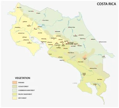 Vegetation vector map of Costa Rica country with important cities Illustrazione stock