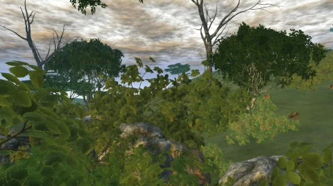 Vegetation in wind Stock Footage 671486