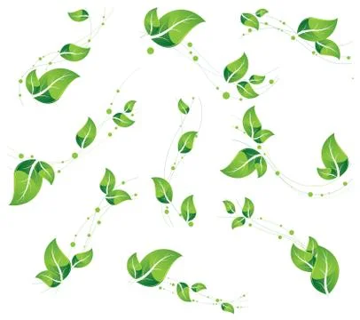 Vegetative elements set Illustrazione stock