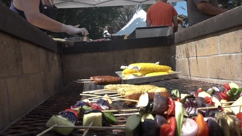 Veggies on the BBQ Stock Footage 115666667