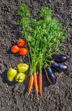 Veggies on the ground Stock Photos