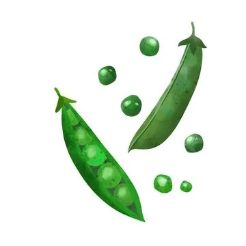 Veggies. Hand drawn vector illustration. Stock Illustration