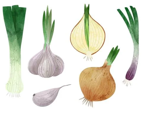 Veggies. Hand drawn vector illustration. Stock Illustration