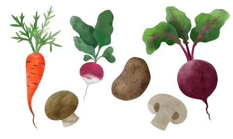 Veggies. Hand drawn vector illustration. Stock Illustration