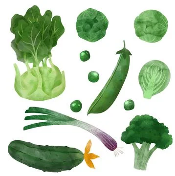 Veggies. Hand drawn vector illustration. Stock Illustration
