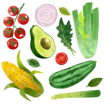 Veggies. Hand drawn vector illustration. Stock Illustration