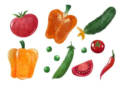 Veggies. Hand drawn vector illustration. Stock Illustration