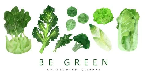 Veggies. Hand drawn vector illustration. Stock Illustration